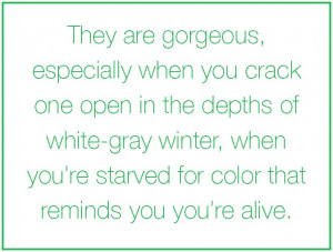 Quotes About Winter Beauty