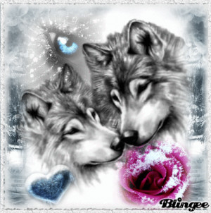 wolf love wolf love white wolf middot love wolf love wolf love by ...