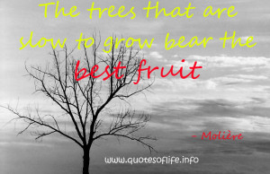 The-trees-that-are-slow-to-grow-bear-the-best-fruit.-Jean-Baptiste ...