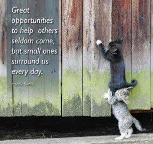 Great Opportunities To Help Others