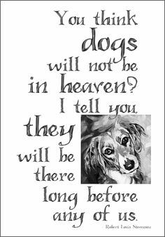Diamond, Daisy, Max....and every sweetheart who has passed away under ...