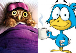Why it’s better to be a 'night owl' than being an 'early bird'?