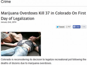 ... Marijuana Overdoses Kill 37 in Colorado On First Day of Legalization