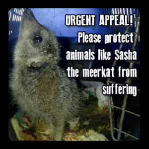 Urgent Mobile Zoo Appeal