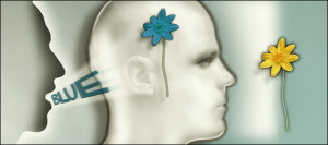 This Is Your Brain Under Hypnosis