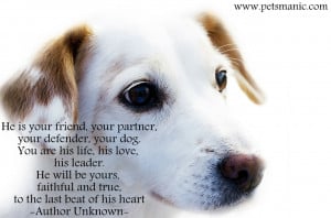 Love Quotes About Your Dog Dog Quotes Pets Manic Blog
