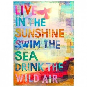 ... some fun summer quotes to celebrate the good weather and good times