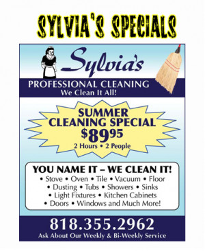 Cleaning Service Flyers