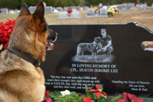 Tribute To The Loyalty Of Dogs