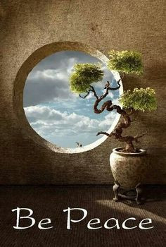 Peaceful thoughts lead us to a peaceful life! Aline♥ More