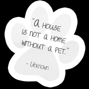 Animal Quotes Graphics