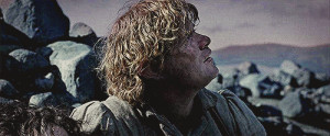... the rings return of the king LOTR Frodo Baggins Samwise Gamgee mygif