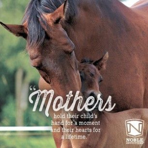 Happy Mother's Day to all you super moms, horse show moms, and moms of ...
