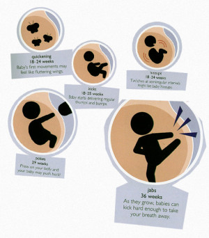 Came across this cute illustration, from Show Mom How.