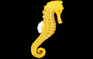 Charles the Seahorse by airquotes