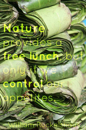 eco friendly nature provides a free lunch