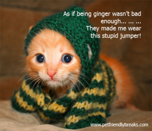 Cute Quotes About Ginger 39 s