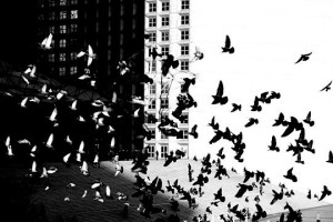 dilluns, 26 de març de 2012