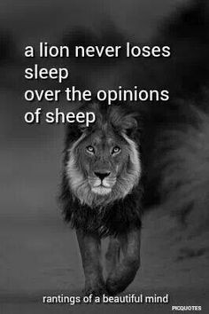 ... concern themselves with the opinions of lambs #lions #quotes #wisdom