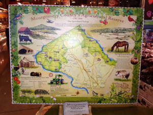 Charles Barkley Quotes On Success. Charles Barkley Angola Quote. View ...