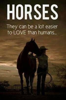 Horse love quotes