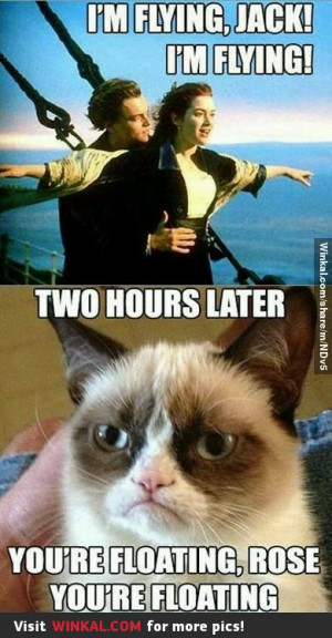 Obviously) Grumpy cat hates Titanic