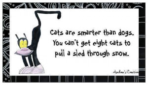 Funny Clean Christian Quote Cats Smarter Than Dogs Small Vinyl Durable