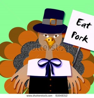 sarcastic pilgrim turkey with protest sign illustration - stock photo