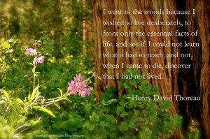 Displaying 19> Images For - Free Thought Quotes Thoreau...