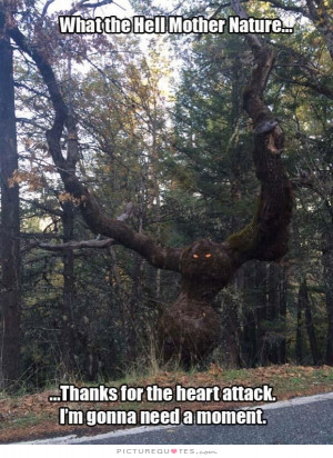 Tree Quotes Scared Quotes Monster Quotes Mother Nature Quotes