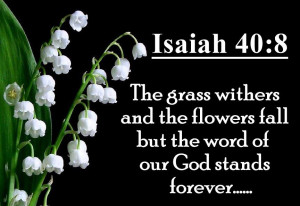 The grass withers and the flowers fall but the word of our God stands ...