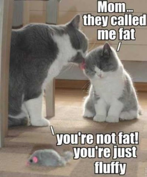 not fat im fluffy