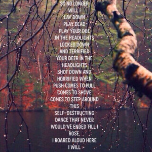 perfect circle - rose