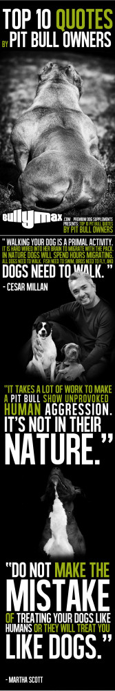 Top 10 Quotes by Pit Bull Owners Graphic