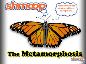 Metamorphosis Quotes About Family