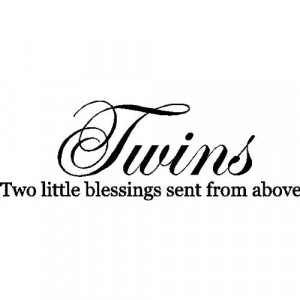 twins wall quotes words sayings removable vinyl lettering black