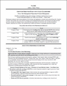 Executive Resumes | Sample Career Documents