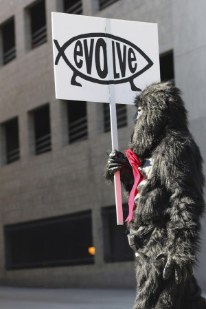 Related Pictures excess luggage 300x225 excess luggage