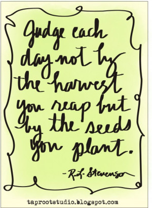 Moonflower Pod, August, 2013, created in Paper 53