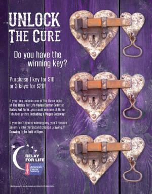 Relay For Life Of Valley Center Check Out Their Promotional Flyer ...
