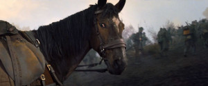 war horse jpg