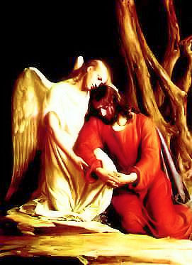 21st Century Catholic Apologetics for Mary's Spiritual Warriors