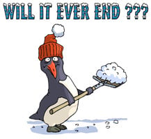 irony design fun shop humorous funny t shirts penguin humor snowbound ...