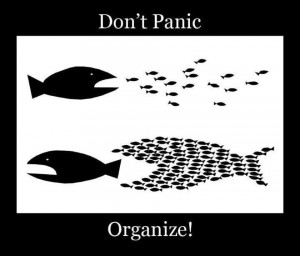 Don't Panic, Organize!