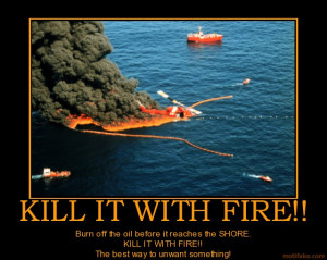 KILL IT WITH FIRE!! Burn off the oil before it reaches the SHORE. KILL ...