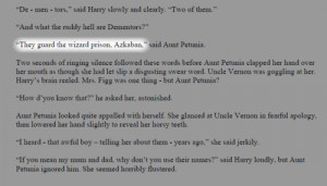 :She didn’t mean James Potter.She meant Severus Snape.(first quote ...