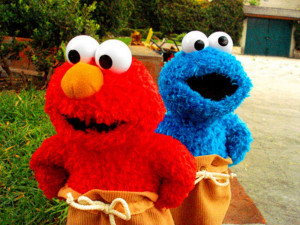 and guess what, as what i've remembered, i never treat my elmo before.