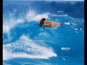 roxy surf Image