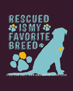 Rescue Dog Quote Wall Decor Choose Fine Art, Gallery Wrapped Canvas or ...