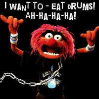Animal From Muppets Quotes